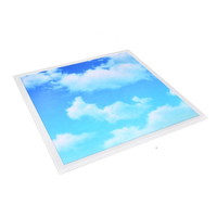 Fabricant de panneau de plafond LED personnalisé par nuage de ciel bleu de bureau