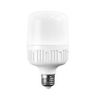 Ampoule LED en forme de T, 5w 10w 15w 20w 30w 40w 50w 60w, lampe pour le bureau et la maison